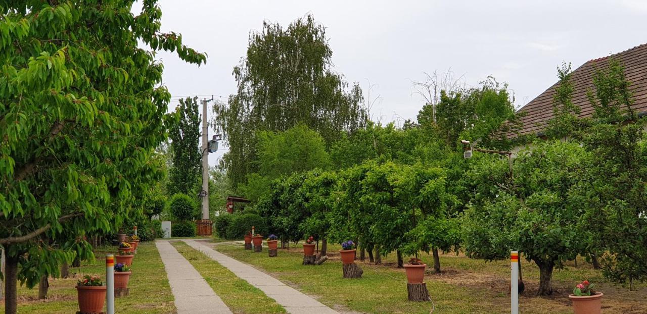 Dobo Tanya Villa Roszke Exterior photo