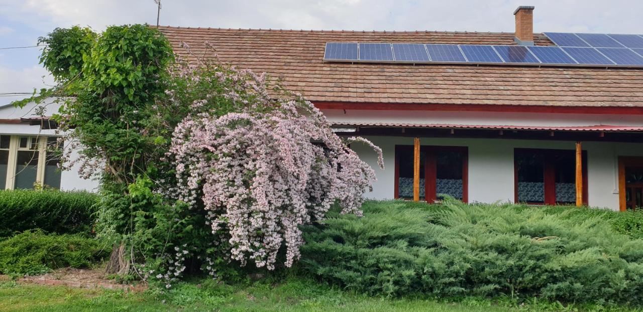 Dobo Tanya Villa Roszke Exterior photo
